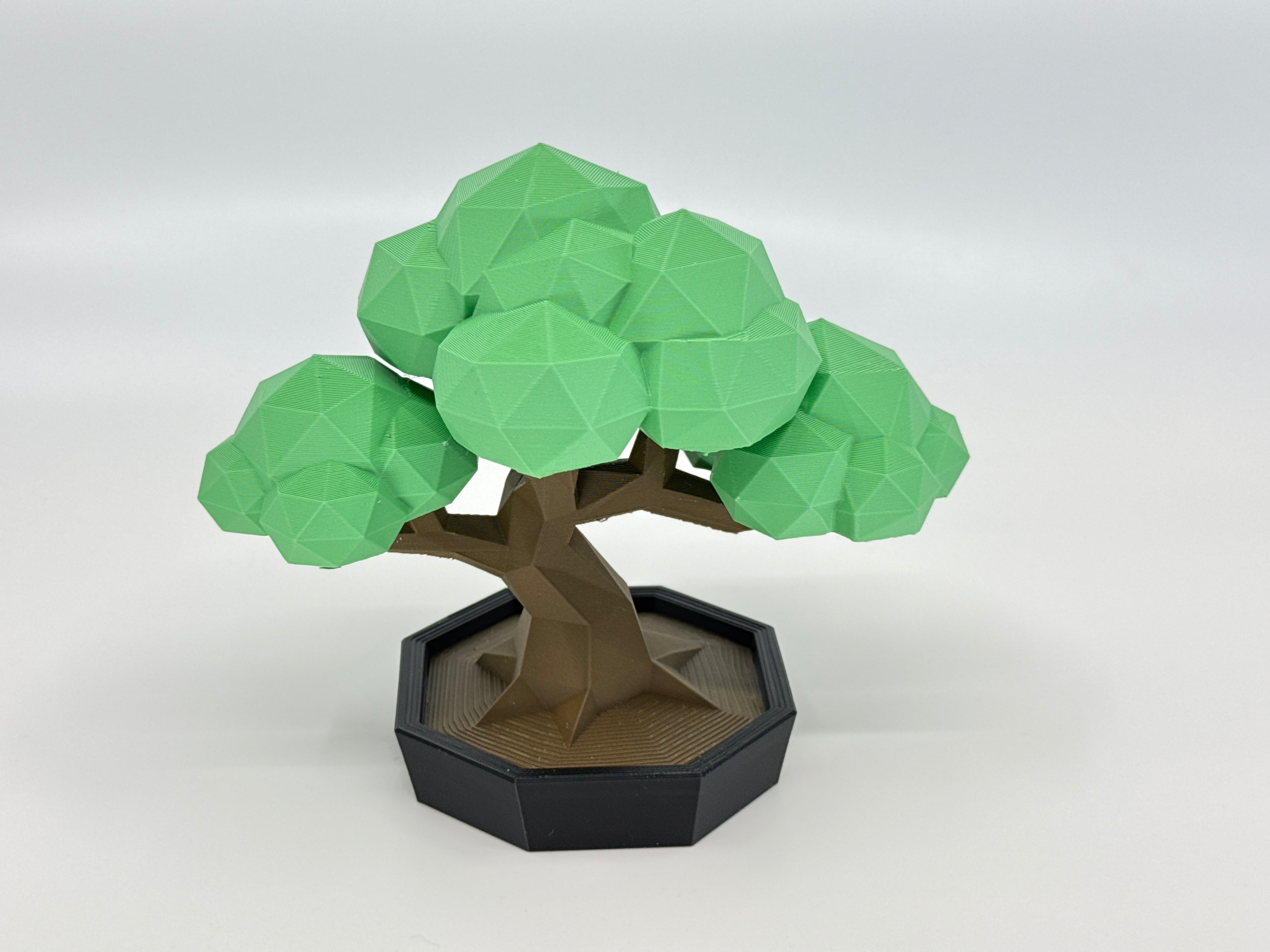Low Poly Bonsai tree art